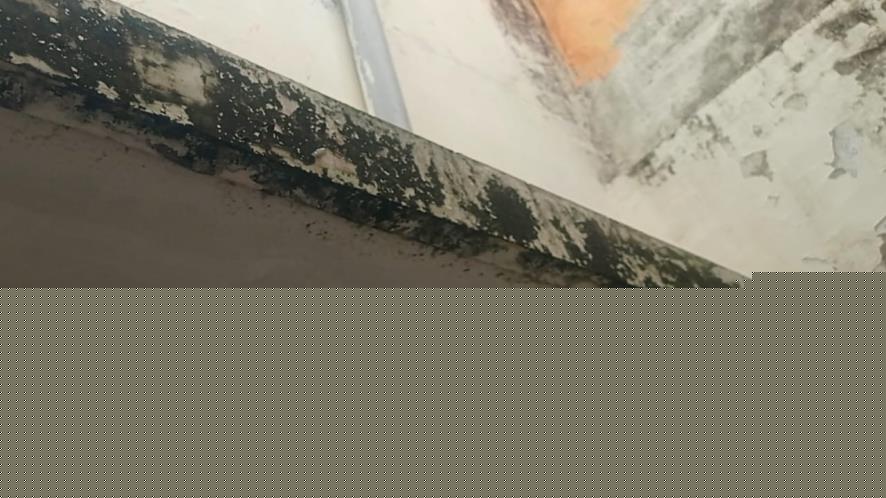 State Bank of India Auctions for Residential property in Jabalpur, Madhya Pradesh image 10 of 13 in Jabalpur, Jabalpur | State Bank of India auction property