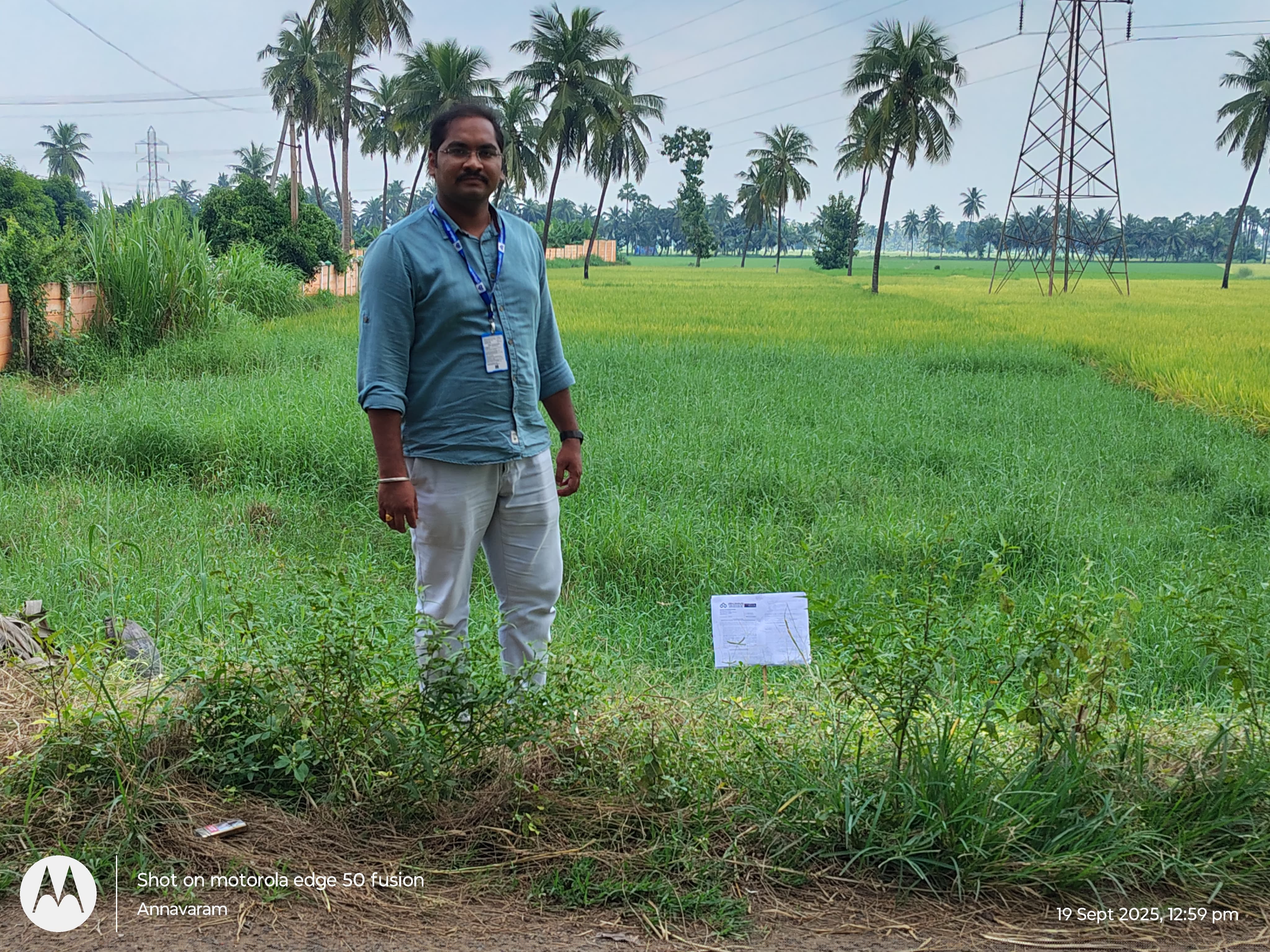 Indian Overseas Bank Auctions for Residential property in West Godavari, Andhra Pradesh image 2 of 4 in Tadepalligudem, West Godavari | Indian Overseas Bank auction property