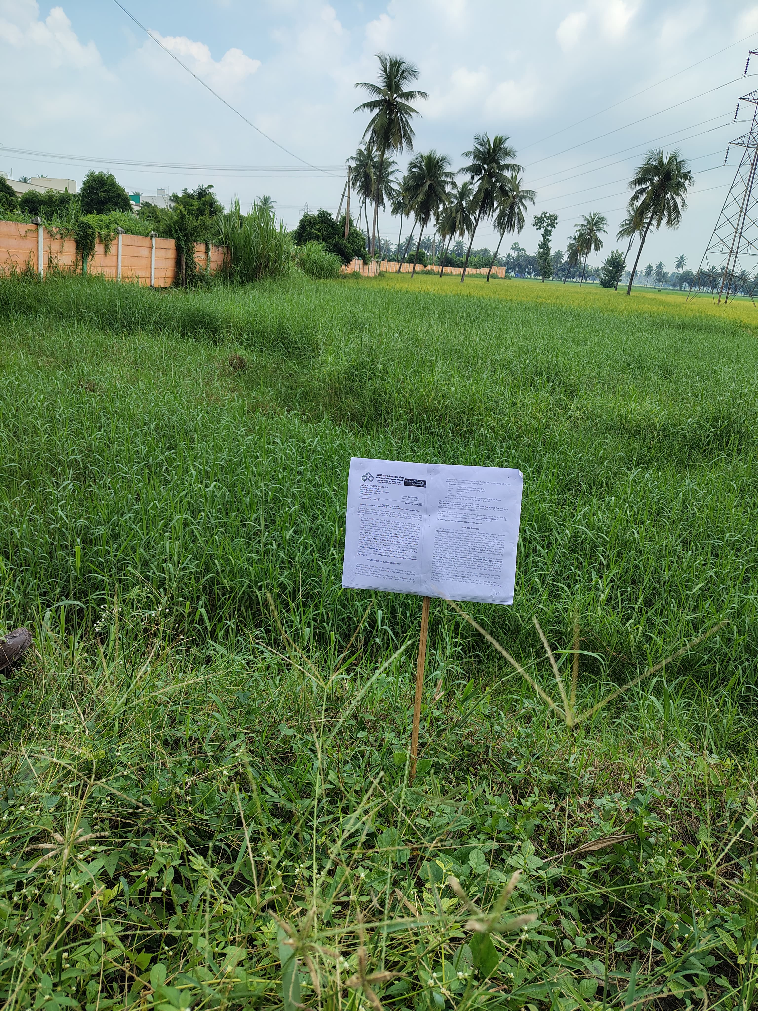 Indian Overseas Bank Auctions for Residential property in West Godavari, Andhra Pradesh image 4 of 4 in Tadepalligudem, West Godavari | Indian Overseas Bank auction property