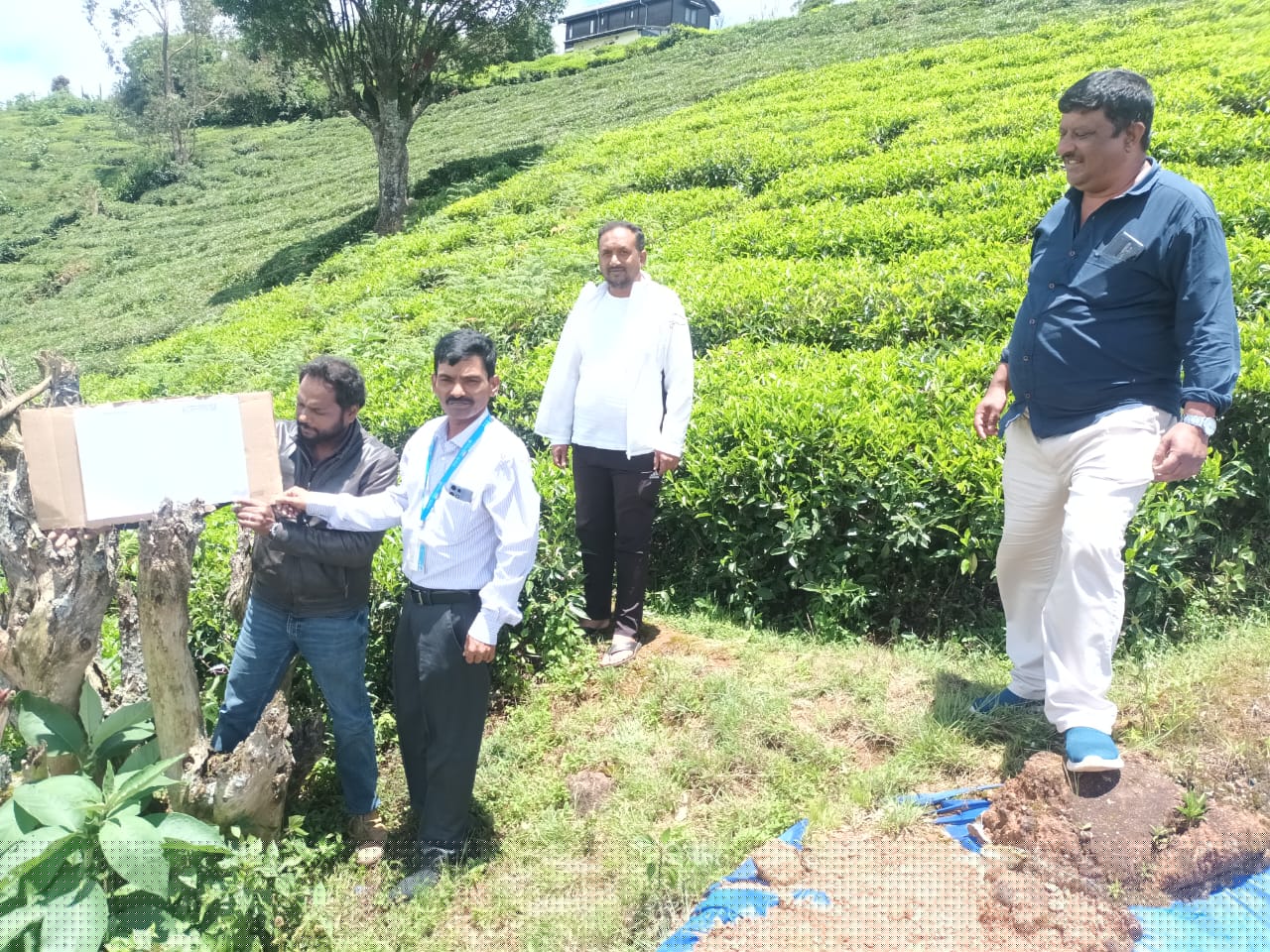 Canara Bank Auctions for Residential property in Nilgiris, Tamil Nadu