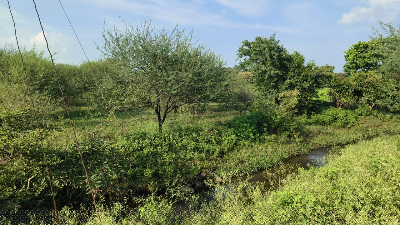 Indian Bank Auctions for Residential property in RAJNANDGAON, Chhattisgarh image 2 of 5 in Rajnandgaon, RAJNANDGAON | Indian Bank auction property