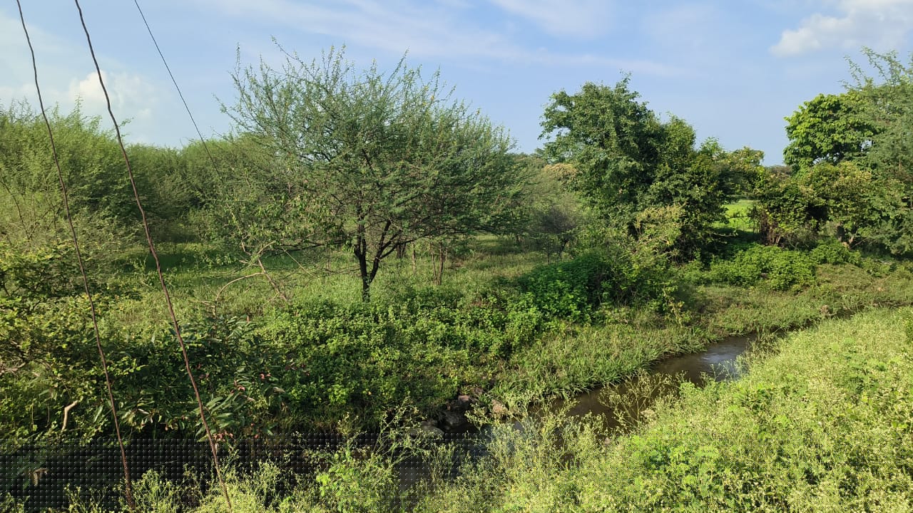 Indian Bank Auctions for Others property in RAJNANDGAON, Chhattisgarh image 4 of 6 in Rajnandgaon, RAJNANDGAON | Indian Bank auction property