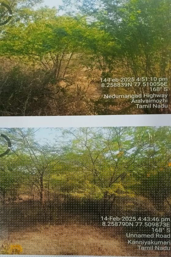 Punjab National Bank Auctions for Residential property in Kanyakumari, Tamil Nadu