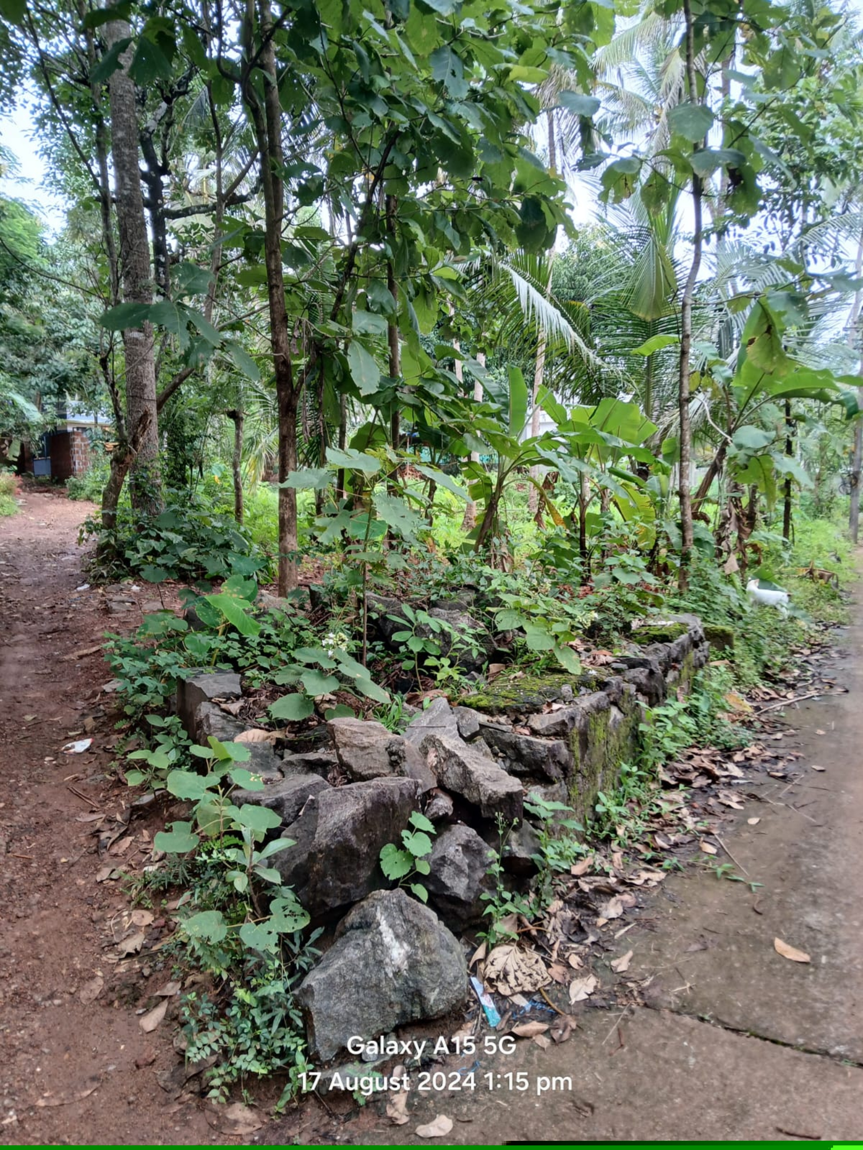 Punjab National Bank Auctions for Residential property in Malappuram, Kerala
