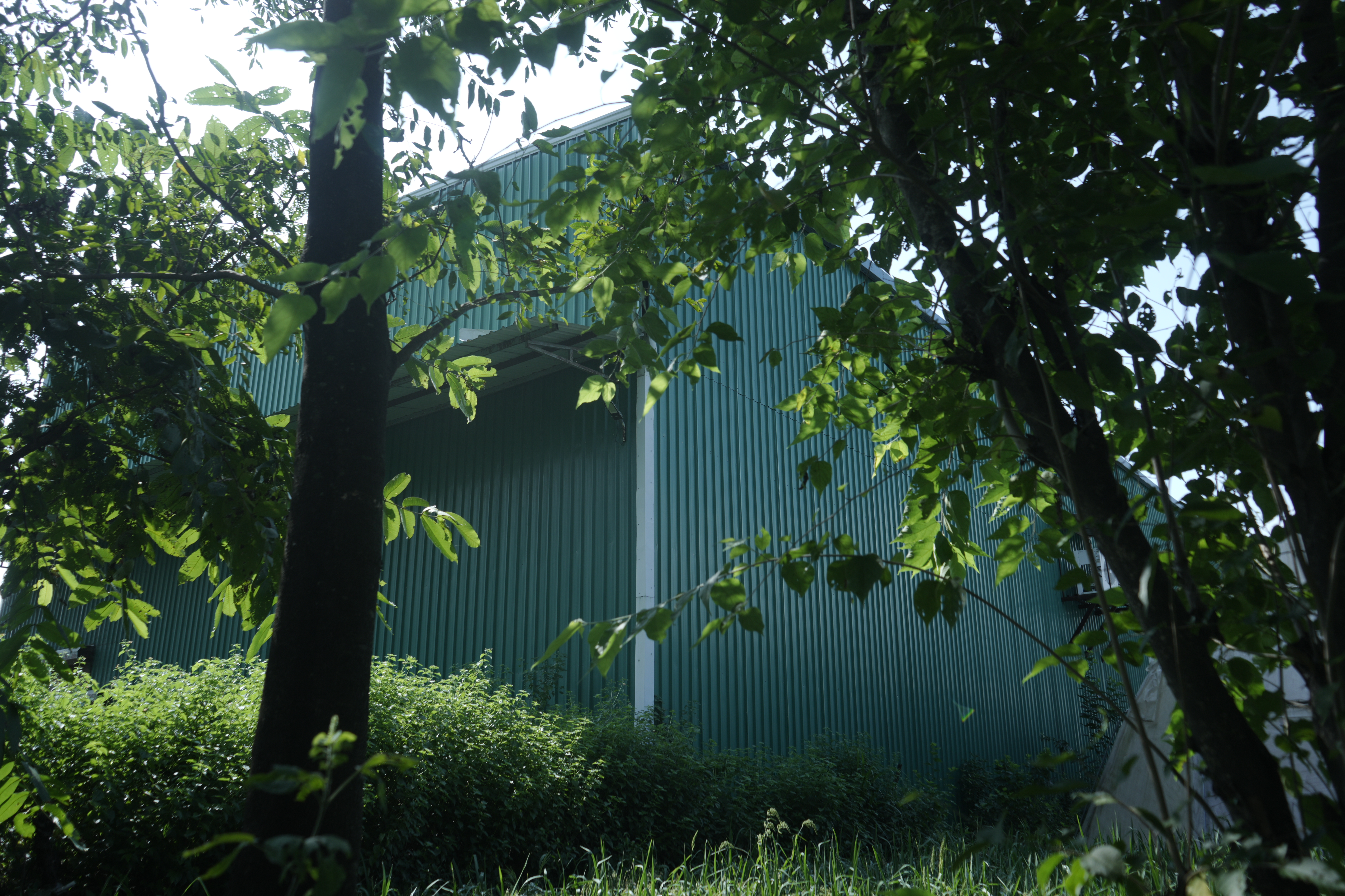 Central Bank of India Auctions for Commercial property in Kullu, Himachal Pradesh image 10 of 15 in Bhuntar, Kullu | Central Bank of India auction property