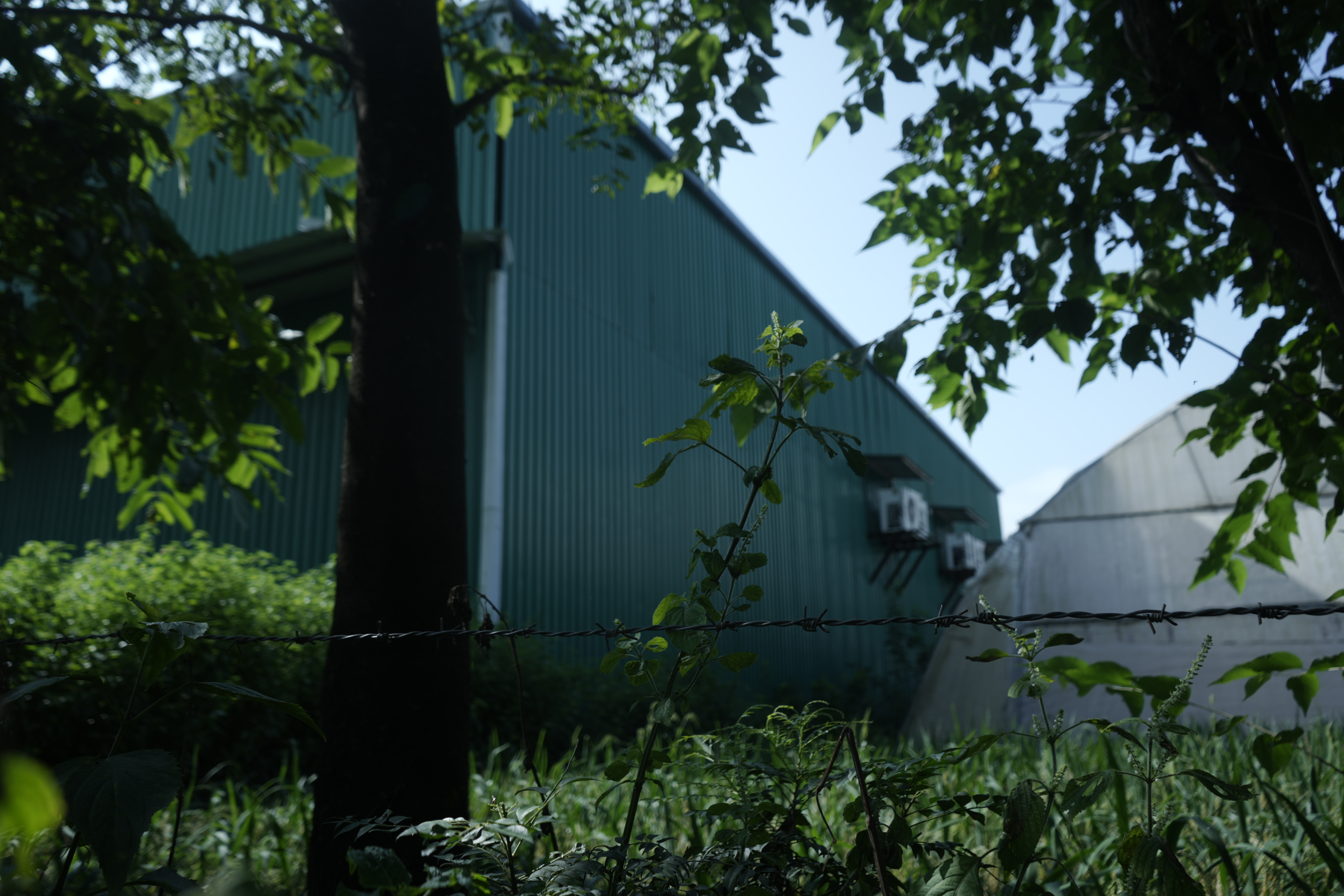 Central Bank of India Auctions for Commercial property in Kullu, Himachal Pradesh image 13 of 15 in Bhuntar, Kullu | Central Bank of India auction property