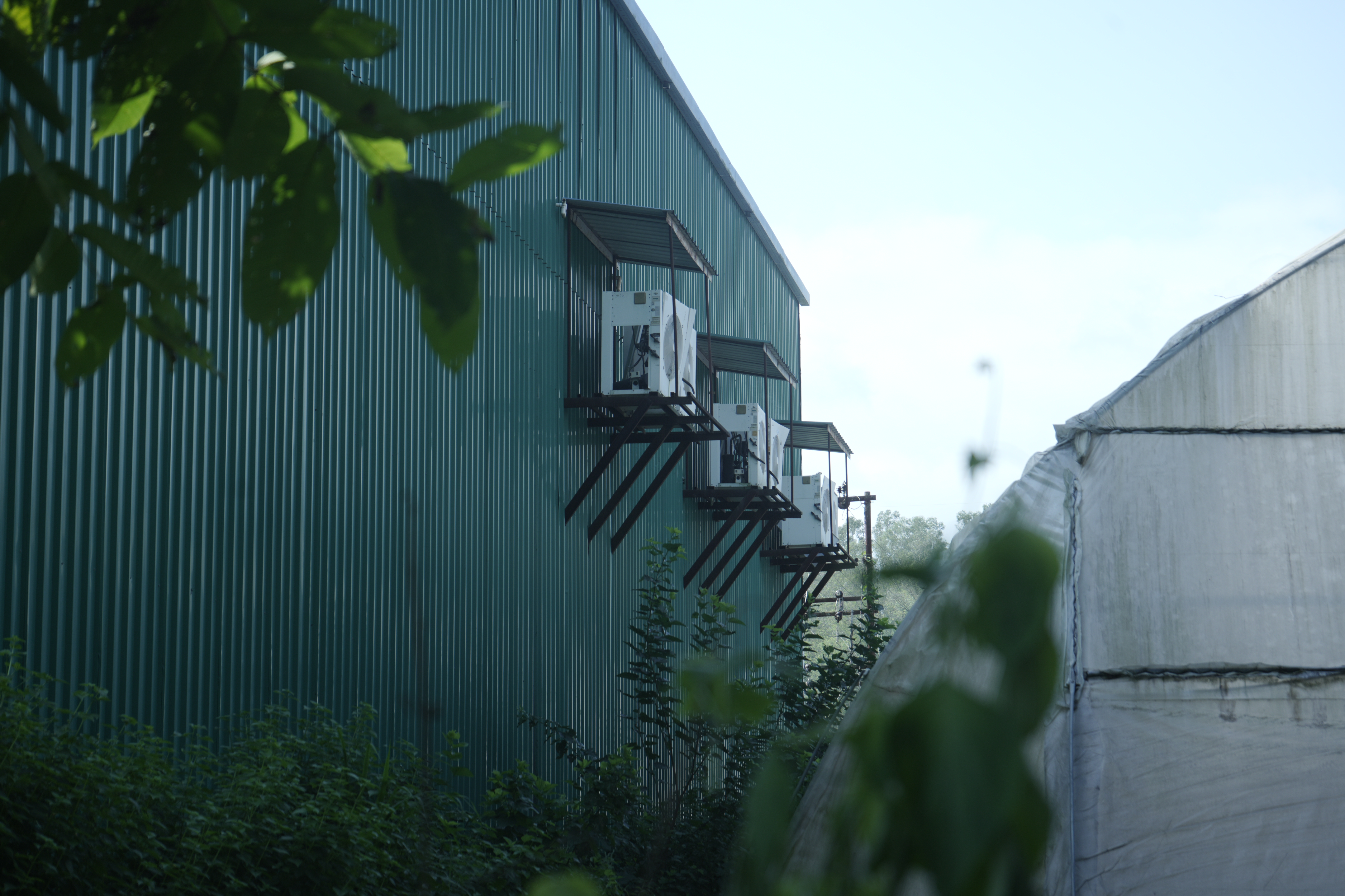 Central Bank of India Auctions for Commercial property in Kullu, Himachal Pradesh image 14 of 15 in Bhuntar, Kullu | Central Bank of India auction property