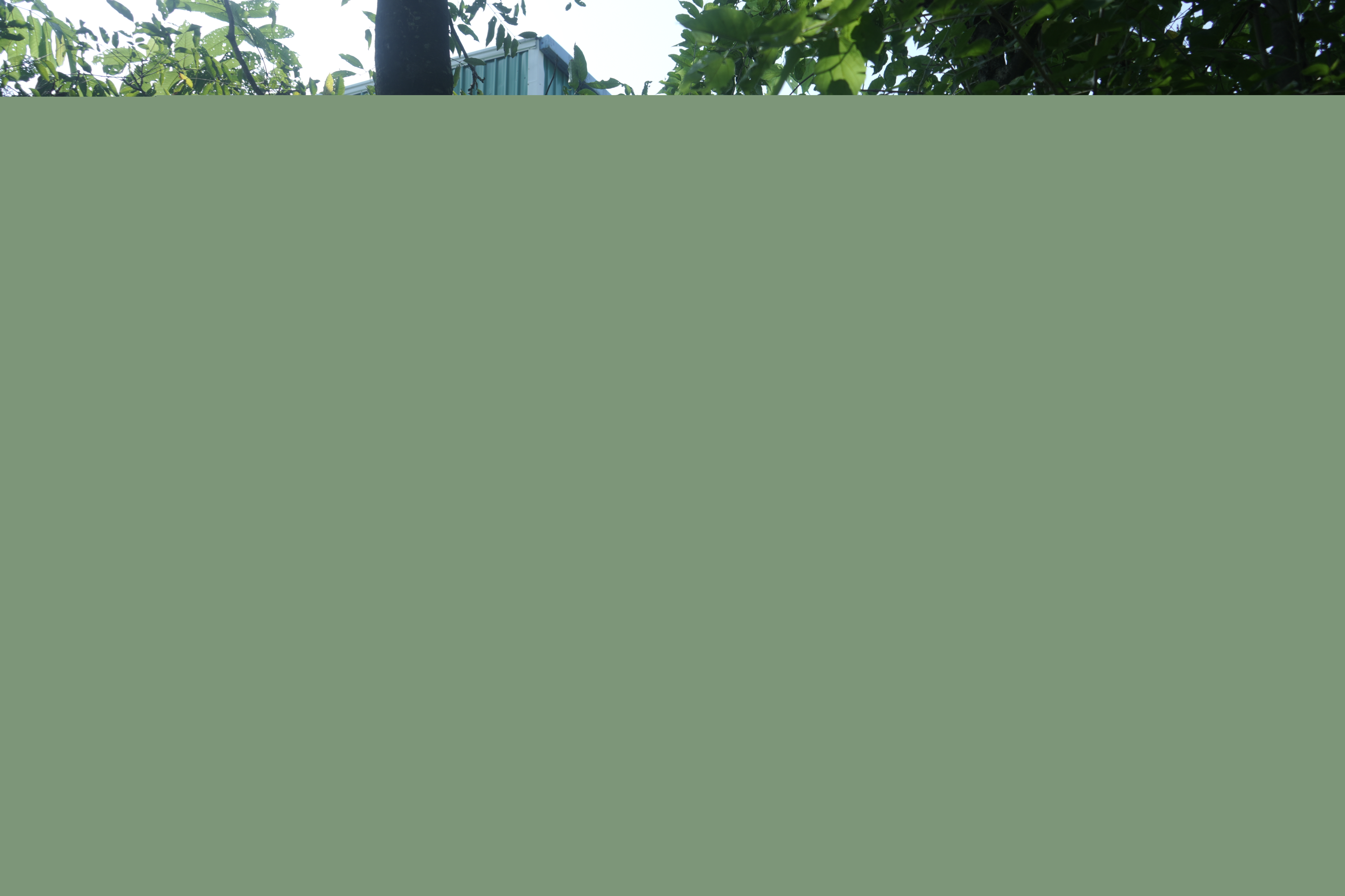 Central Bank of India Auctions for Commercial property in Kullu, Himachal Pradesh image 4 of 15 in Bhuntar, Kullu | Central Bank of India auction property