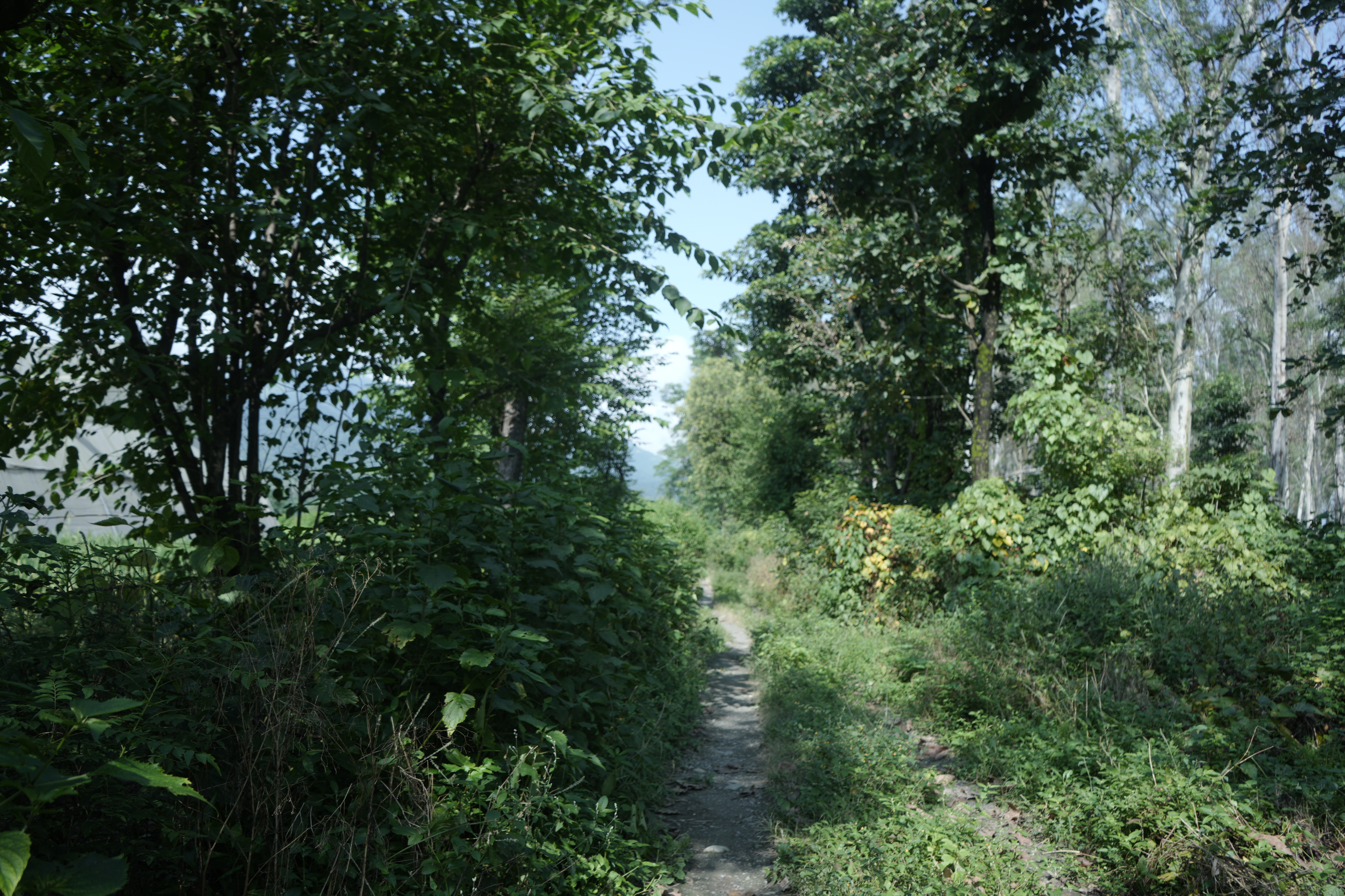 Central Bank of India Auctions for Commercial property in Kullu, Himachal Pradesh image 5 of 15 in Bhuntar, Kullu | Central Bank of India auction property