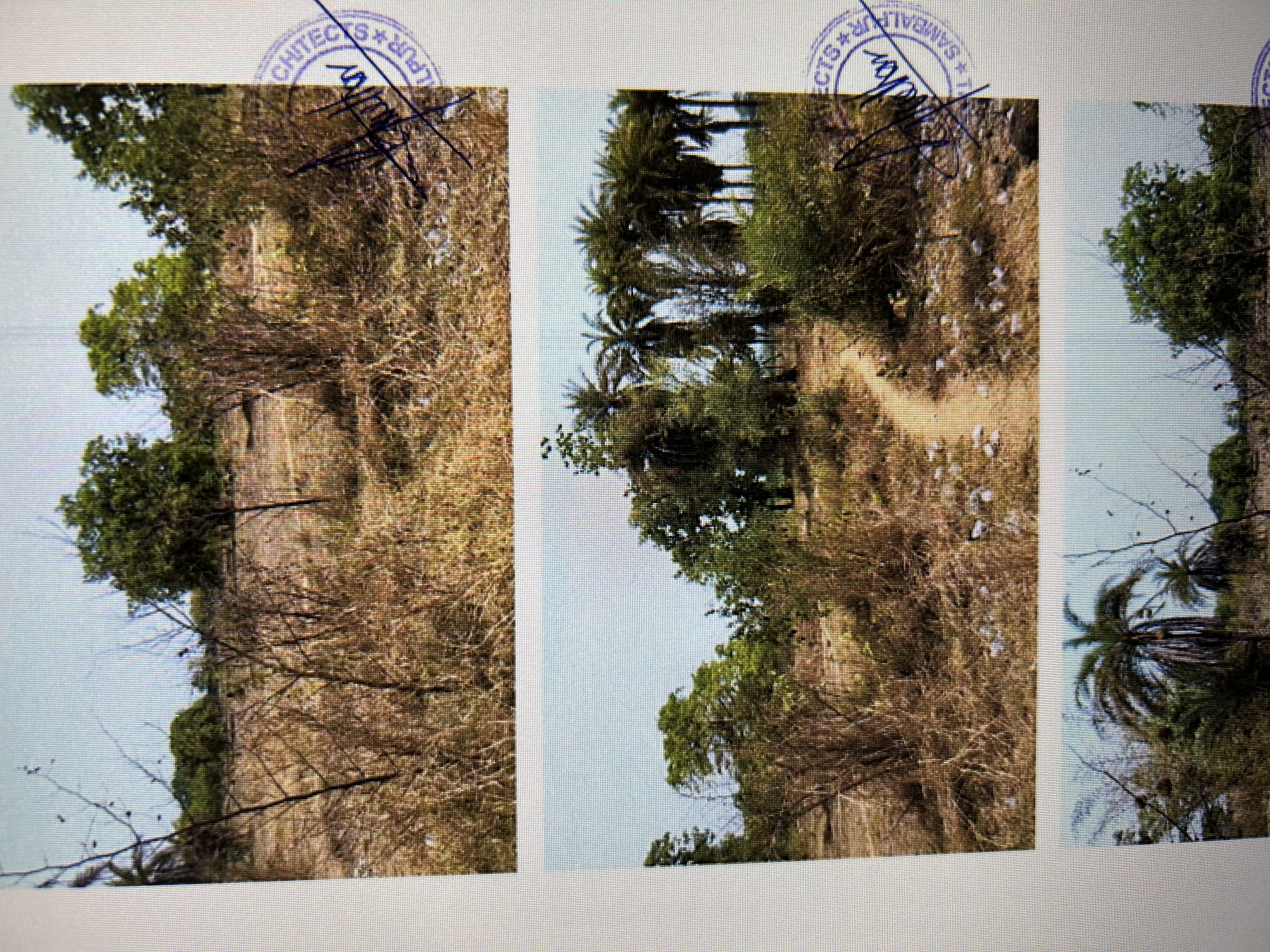 Punjab National Bank Auctions for Residential property in Bargarh, Odisha