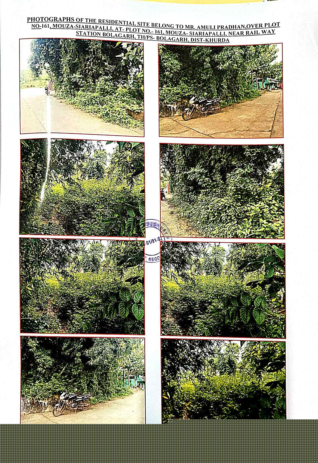 Bank of Baroda Auctions for Residential property in Nayagarh, Odisha