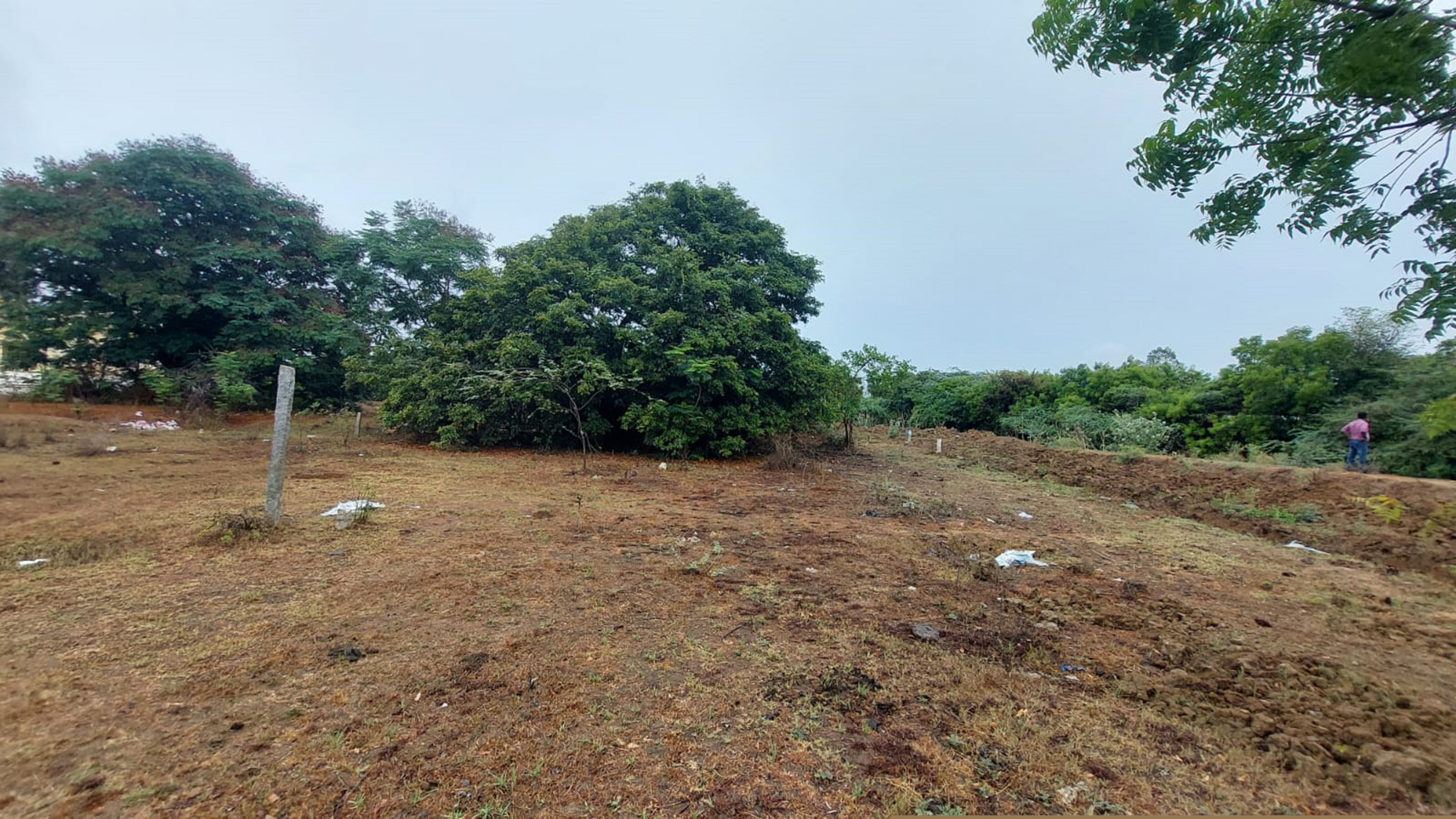 Indian Bank Auctions for Residential property in Kanchipuram, Tamil Nadu