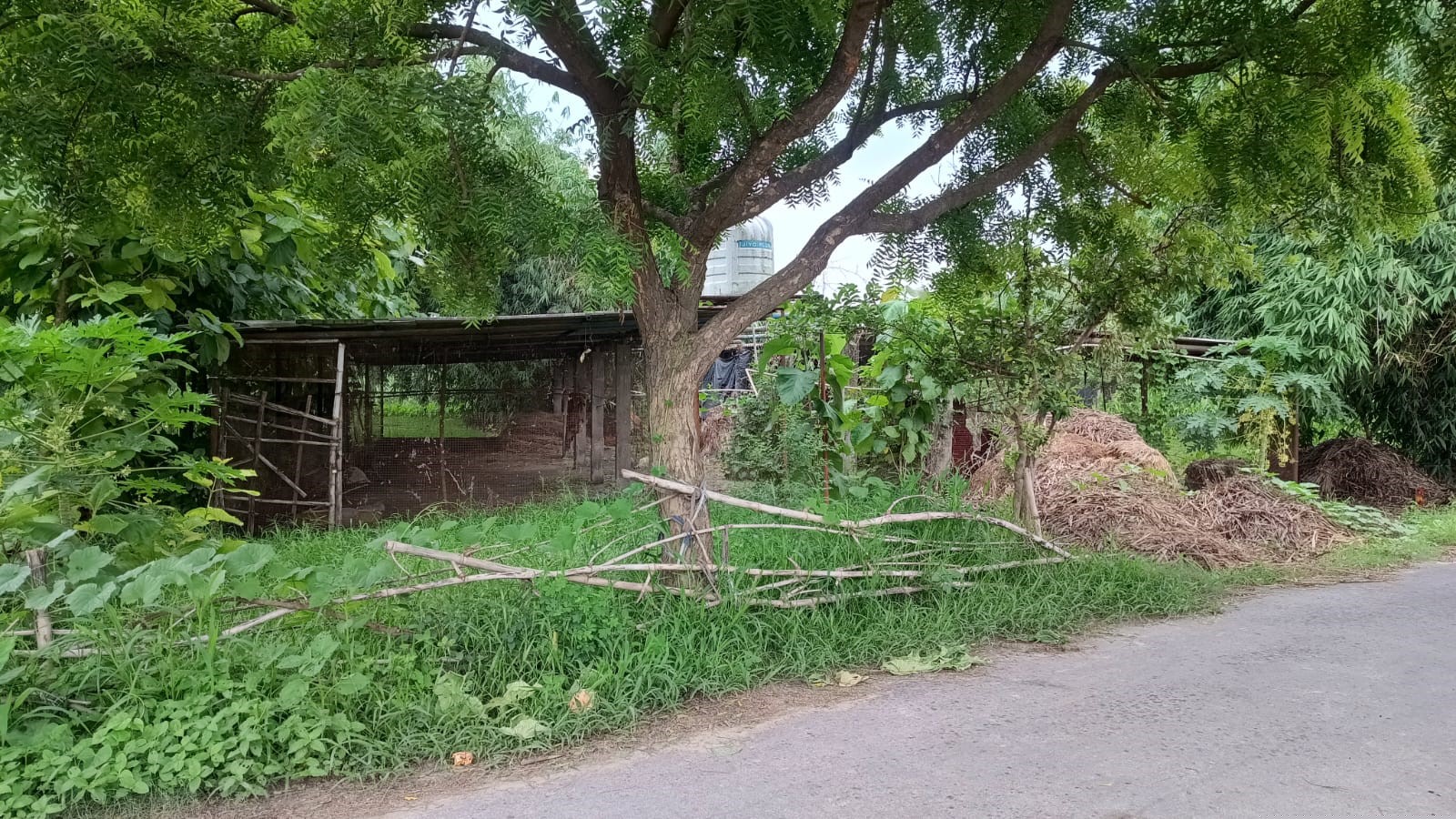 Punjab National Bank Auctions for Industrials property in Kushinagar, Uttar Pradesh