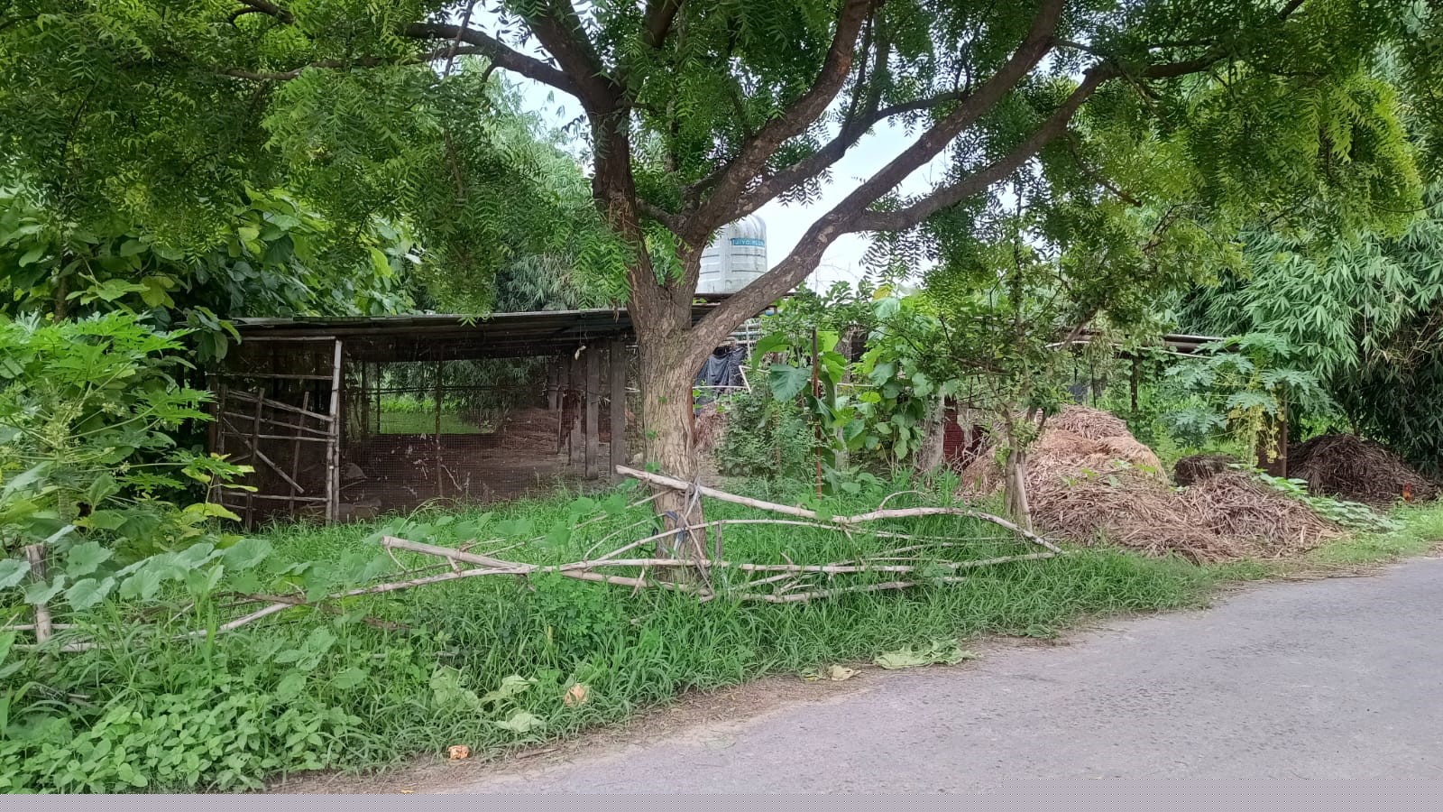 Punjab National Bank Auctions for Industrials property in Kushinagar, Uttar Pradesh