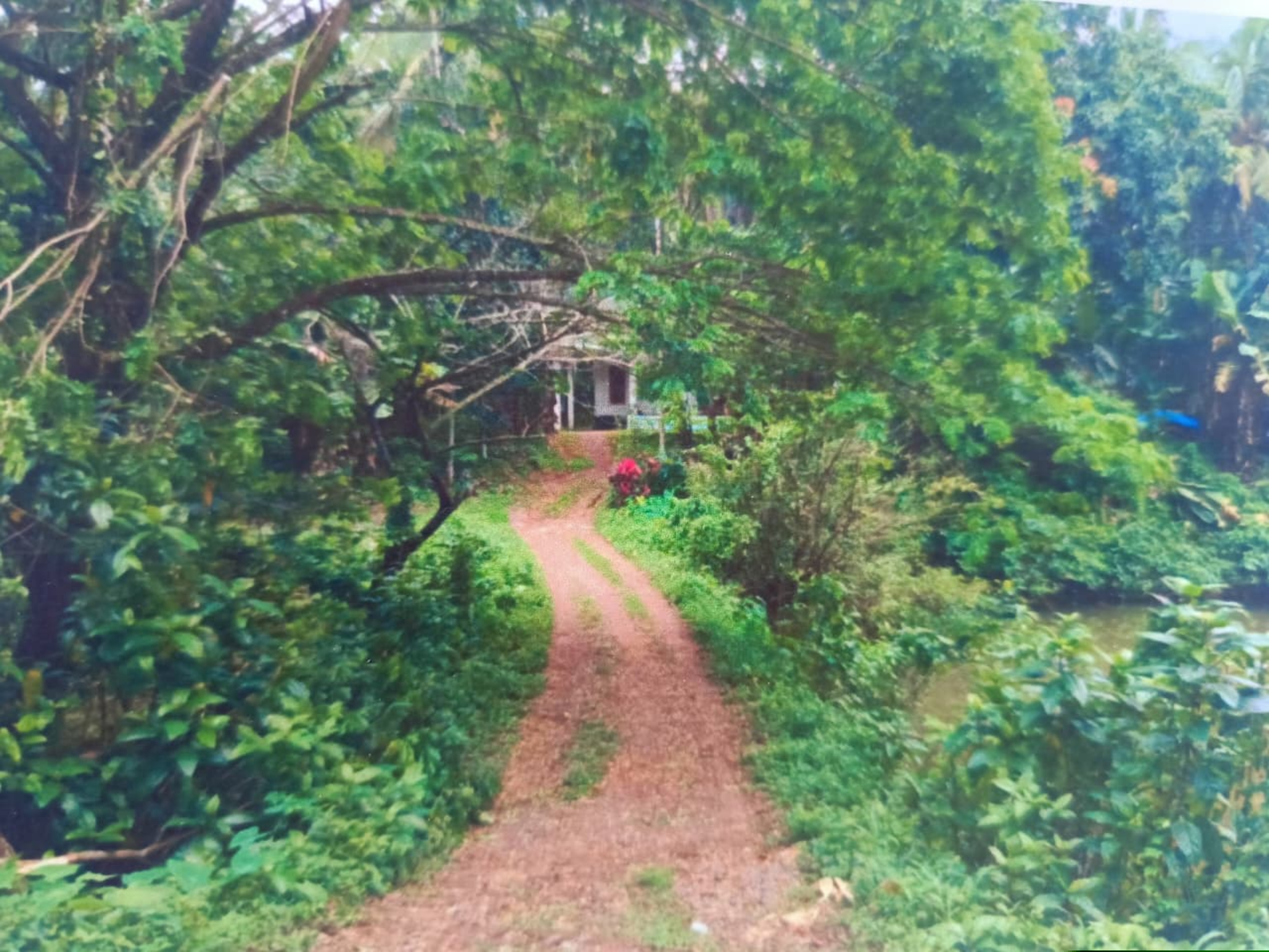 Punjab National Bank Auctions for Residential property in Kozhikode, Kerala image 3 of 5 in Mavoor, Kozhikode | Punjab National Bank auction property