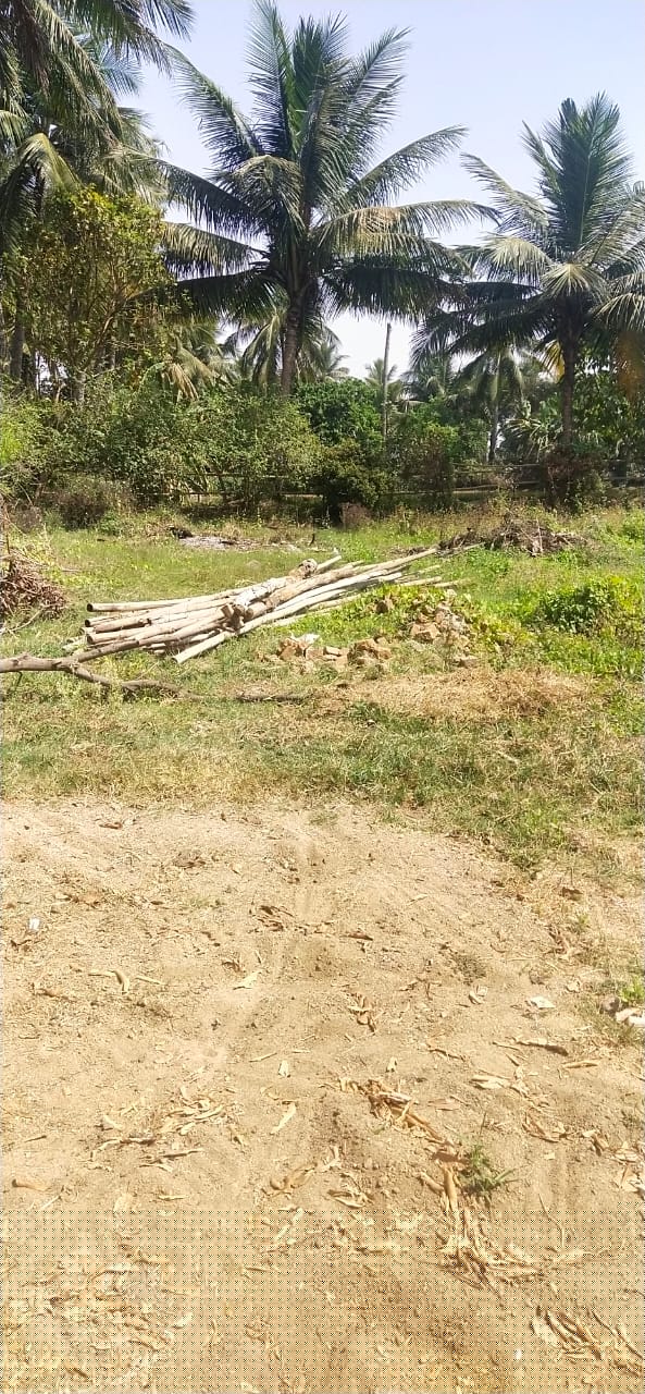 Union Bank of India Auctions for Residential property in Balasore, Odisha