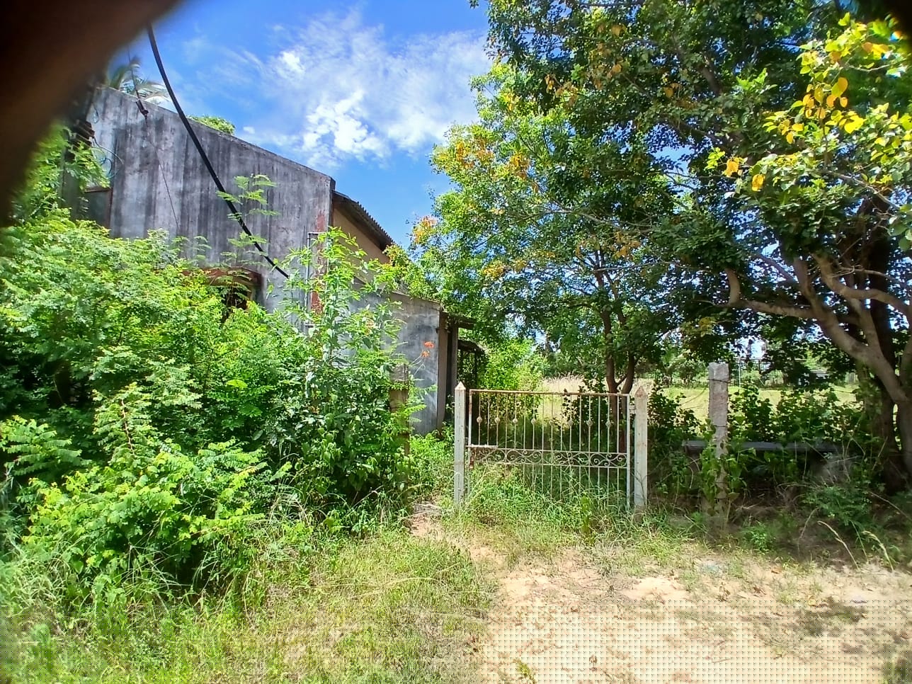 Union Bank of India Auctions for Residential property in Ranipet, Tamil Nadu image 3 of 5 in Narasingapuram Ranipet, Ranipet | Union Bank of India auction property