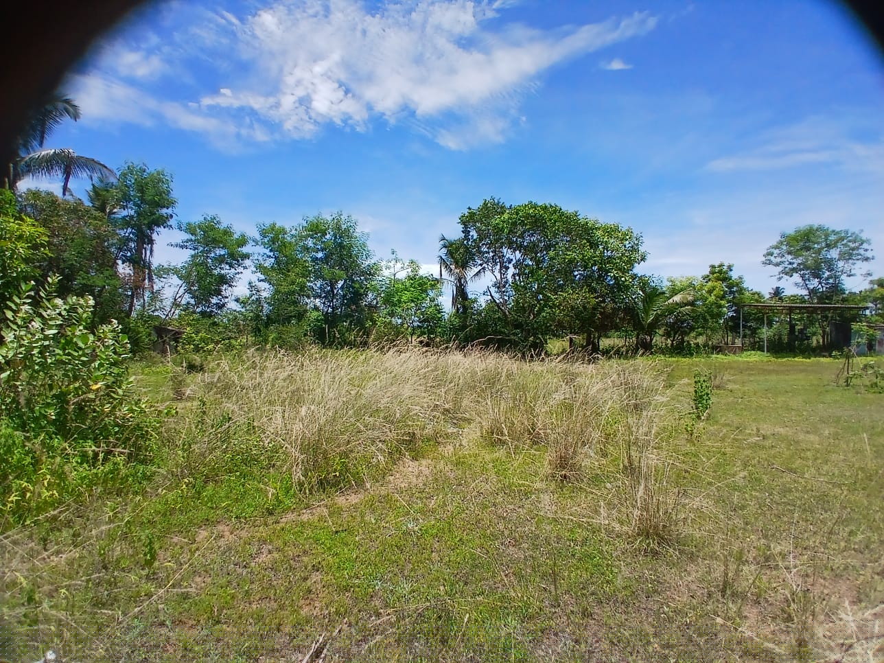 Union Bank of India Auctions for Residential property in Ranipet, Tamil Nadu image 4 of 5 in Narasingapuram Ranipet, Ranipet | Union Bank of India auction property