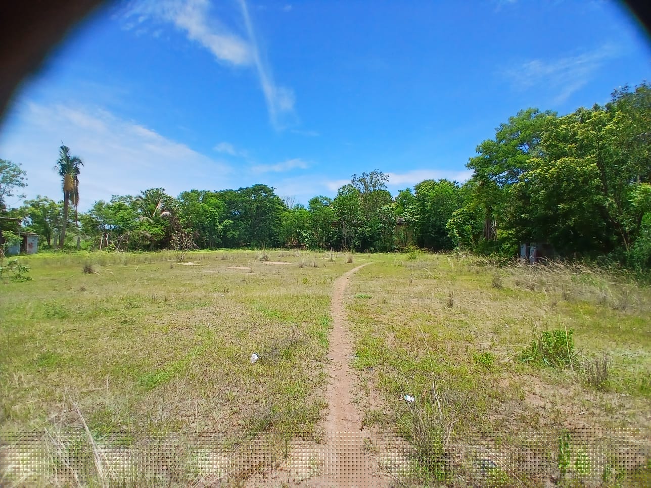 Union Bank of India Auctions for Residential property in Ranipet, Tamil Nadu image 5 of 5 in Narasingapuram Ranipet, Ranipet | Union Bank of India auction property