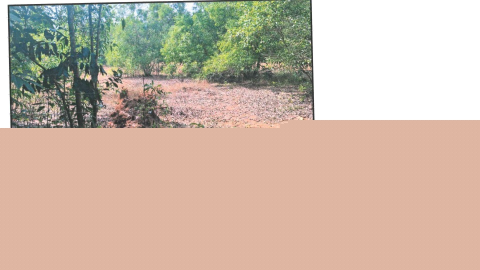 Canara Bank Auctions for Residential property in Dakshina Kannada, Karnataka