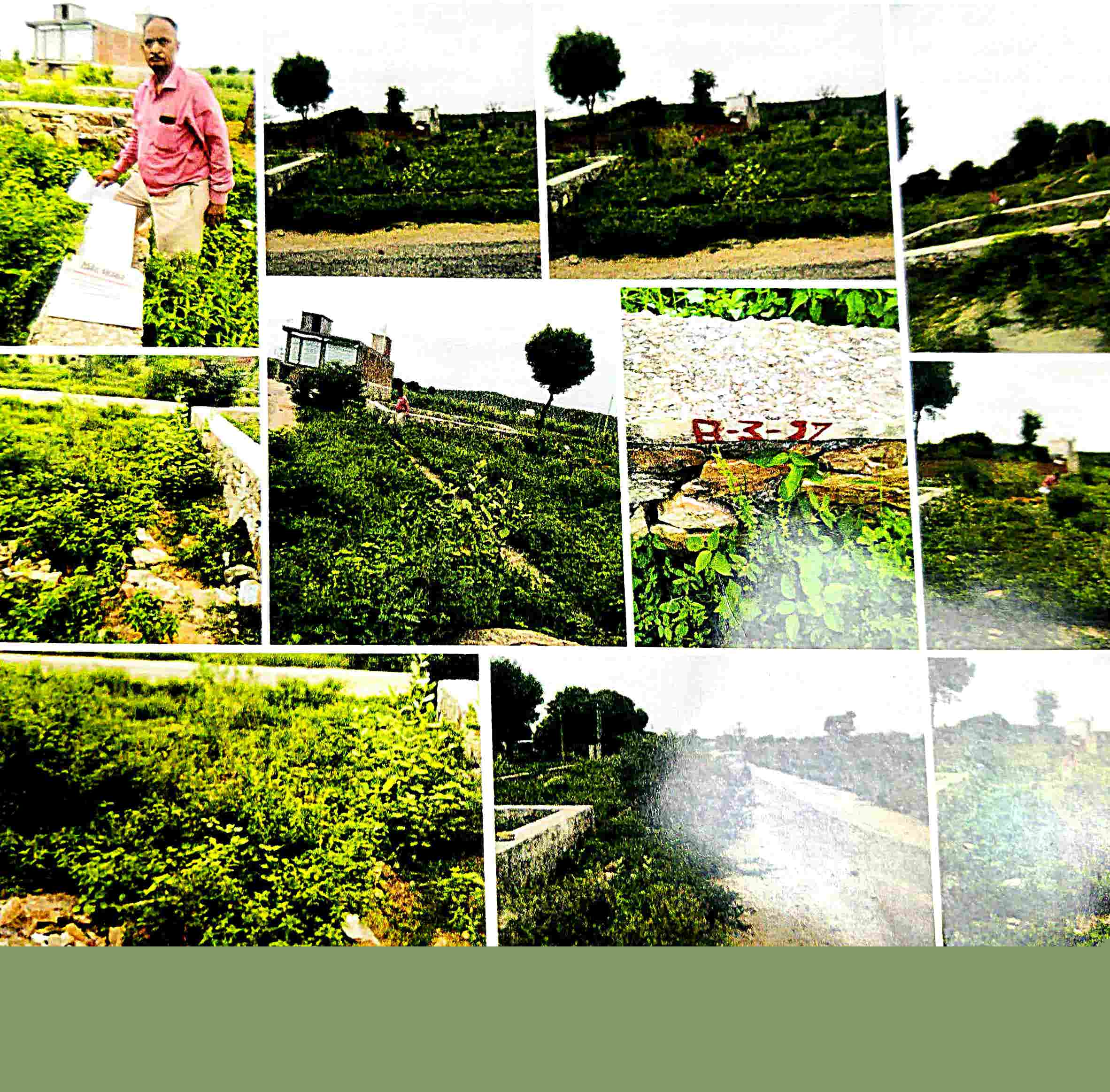 Union Bank of India Auctions for Residential property in Jaipur, Rajasthan