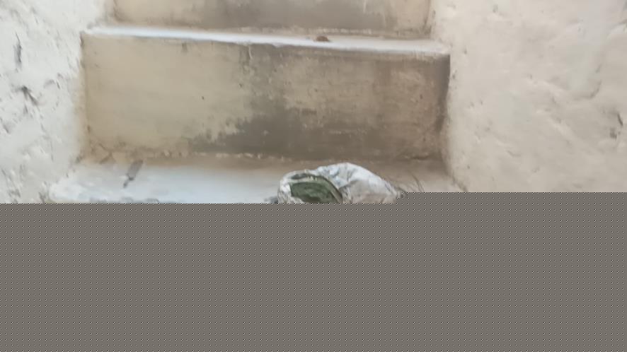 Punjab & Sind Bank Auctions for Residential property in Sri Ganganagar, Rajasthan image 14 of 21 in Sri Ganganagar, Sri Ganganagar | Punjab & Sind Bank auction property