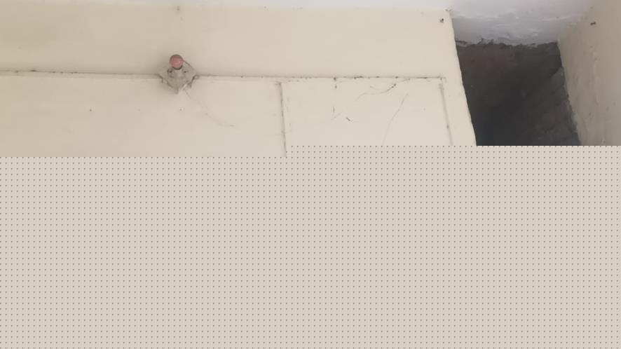 Punjab & Sind Bank Auctions for Residential property in Sri Ganganagar, Rajasthan image 17 of 21 in Sri Ganganagar, Sri Ganganagar | Punjab & Sind Bank auction property