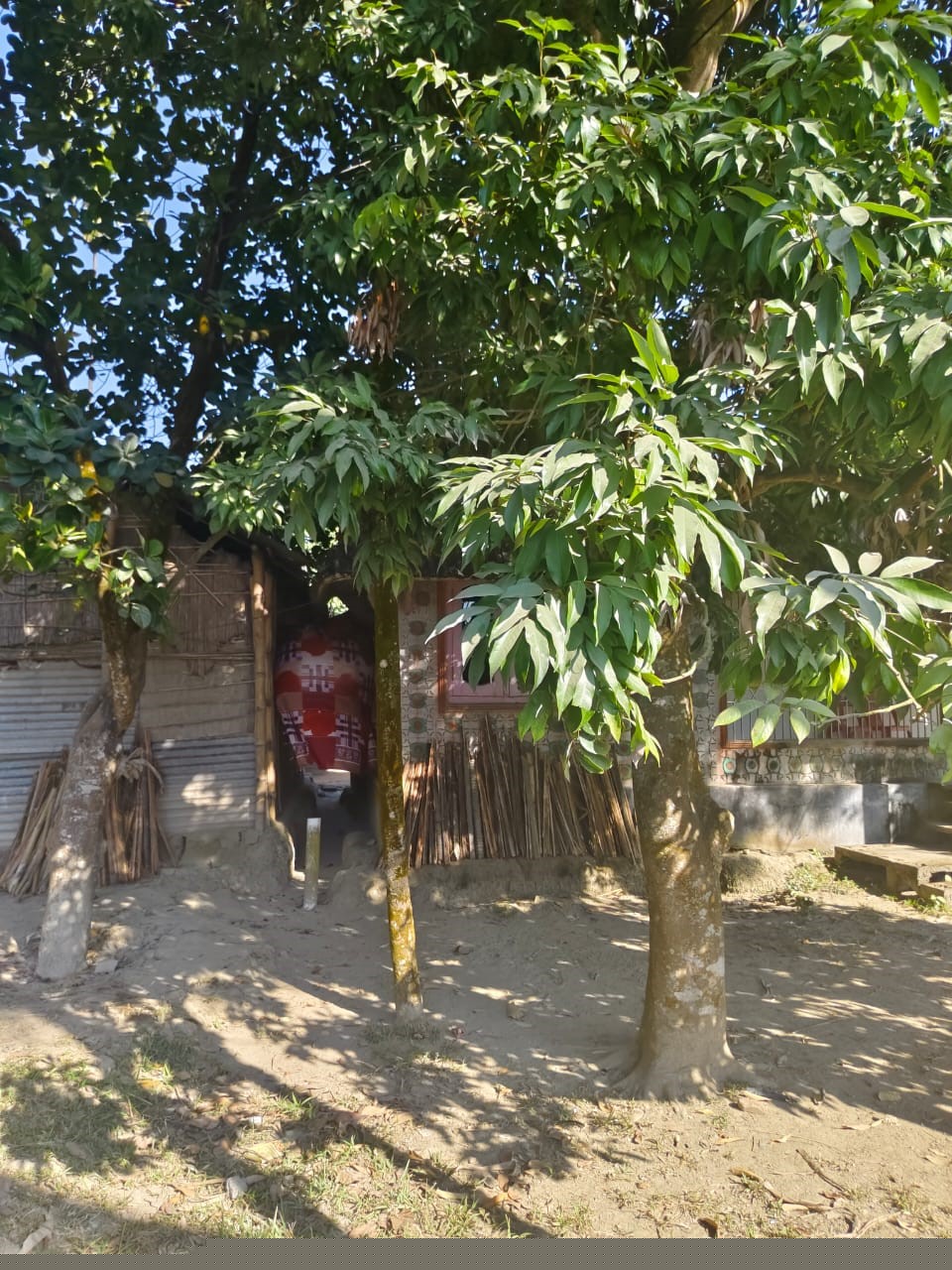 Punjab National Bank Auctions for Residential property in Nagaon, Assam image 7 of 7 in Dhing, Nagaon | Punjab National Bank auction property