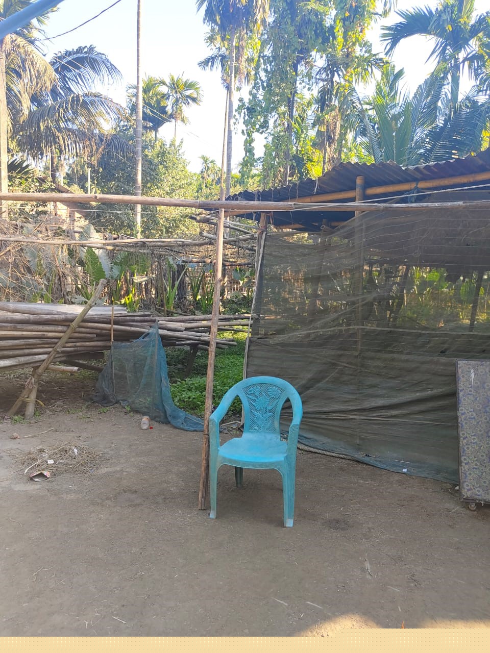 Punjab National Bank Auctions for Residential property in Morigaon, Assam image 2 of 7 in Morigaon, Morigaon | Punjab National Bank auction property