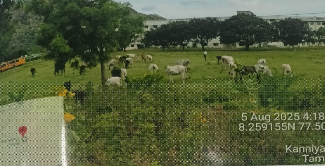 Punjab National Bank Auctions for Residential property in Kanyakumari, Tamil Nadu