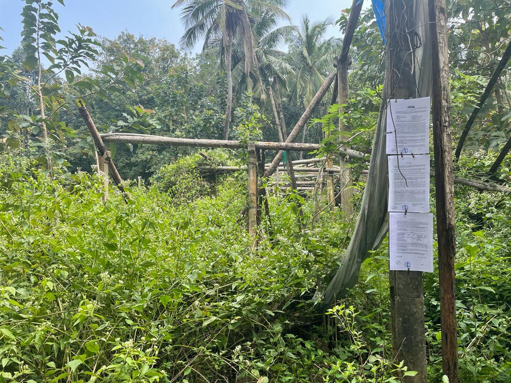 Indian Bank Auctions for Residential property in Kottayam, Kerala