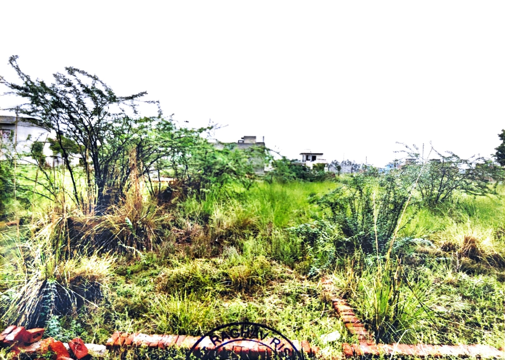 Punjab National Bank Auctions for Residential property in Faridkot, Punjab