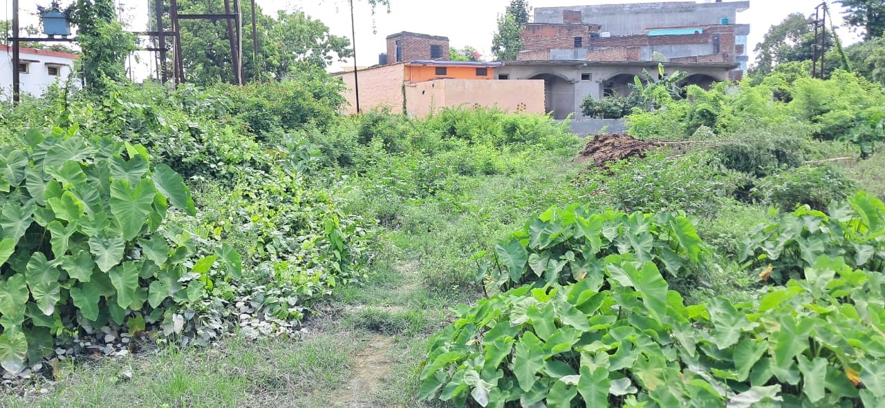 Punjab National Bank Auctions for Residential property in Kushinagar, Uttar Pradesh