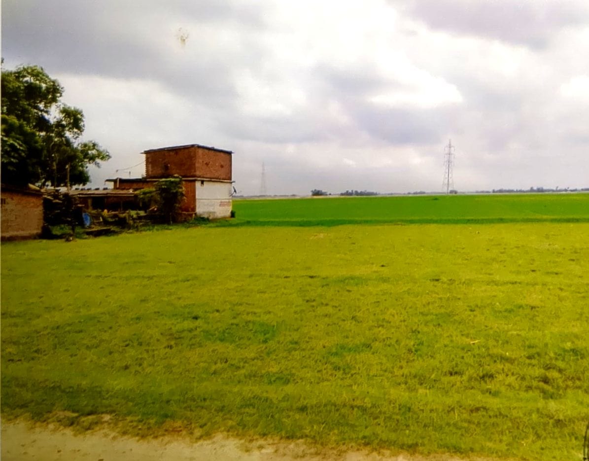 Punjab National Bank Auctions for Residential property in Maharajganj, Uttar Pradesh