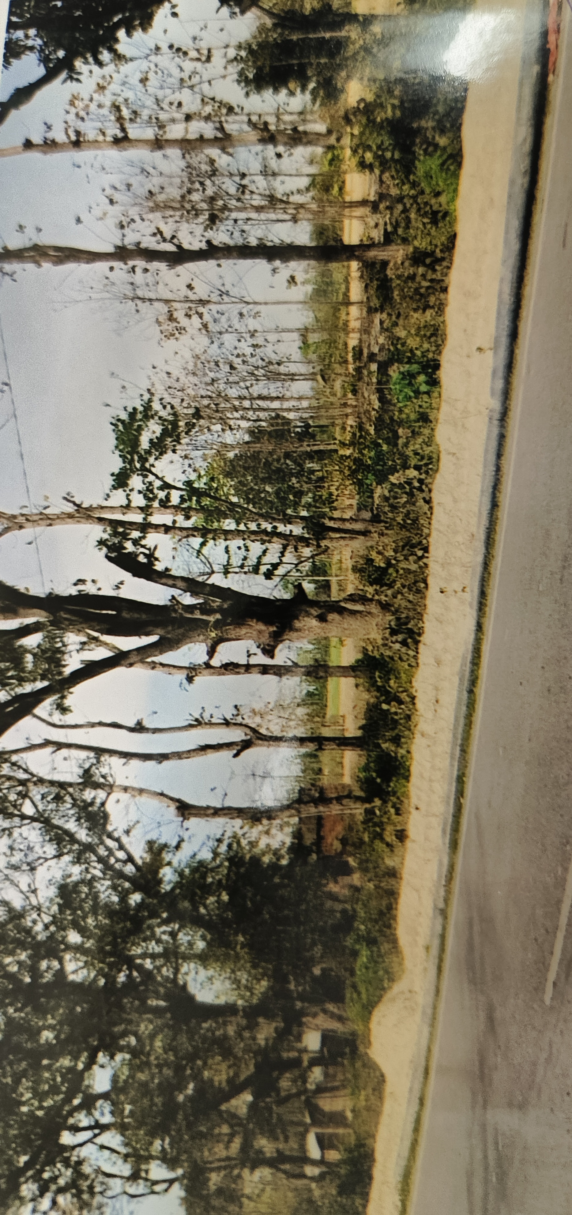 Punjab National Bank Auctions for Residential property in Kushinagar, Uttar Pradesh