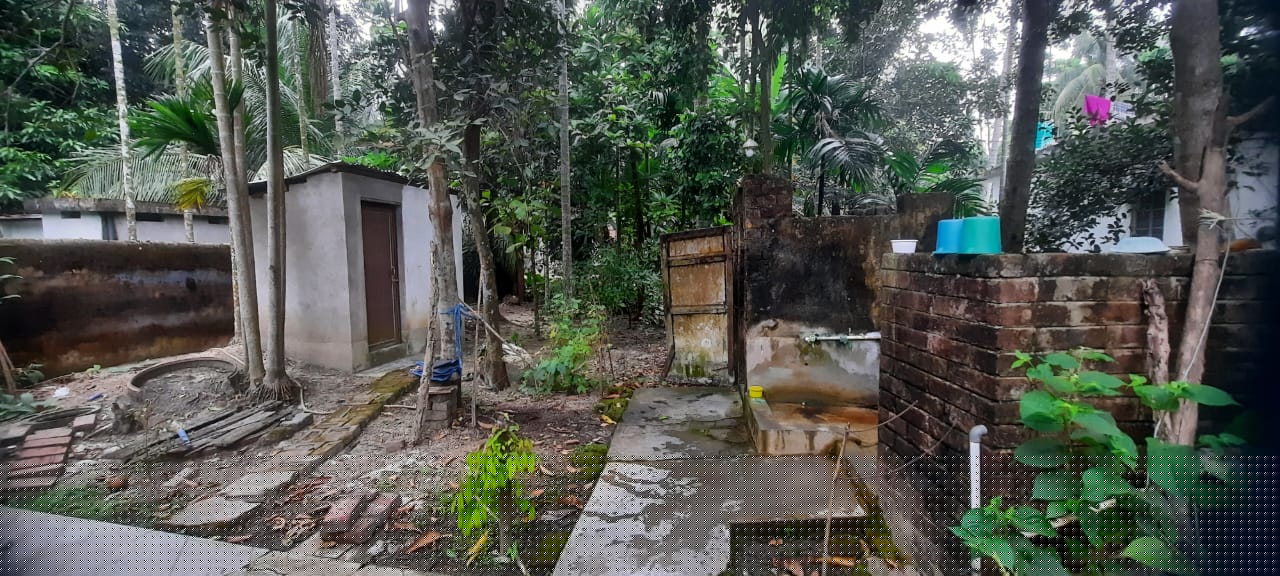 Punjab National Bank Auctions for Residential property in North 24 Parganas, West Bengal image 6 of 11 in Habra, North 24 Parganas | Punjab National Bank auction property
