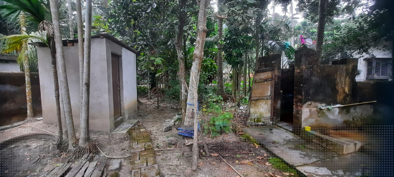 Punjab National Bank Auctions for Residential property in North 24 Parganas, West Bengal image 7 of 11 in Habra, North 24 Parganas | Punjab National Bank auction property