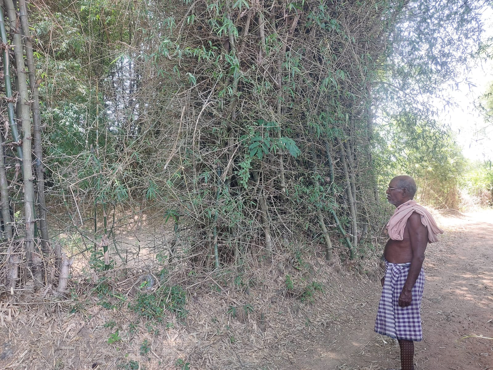 Canara Bank Auctions for Residential property in Balasore, Odisha