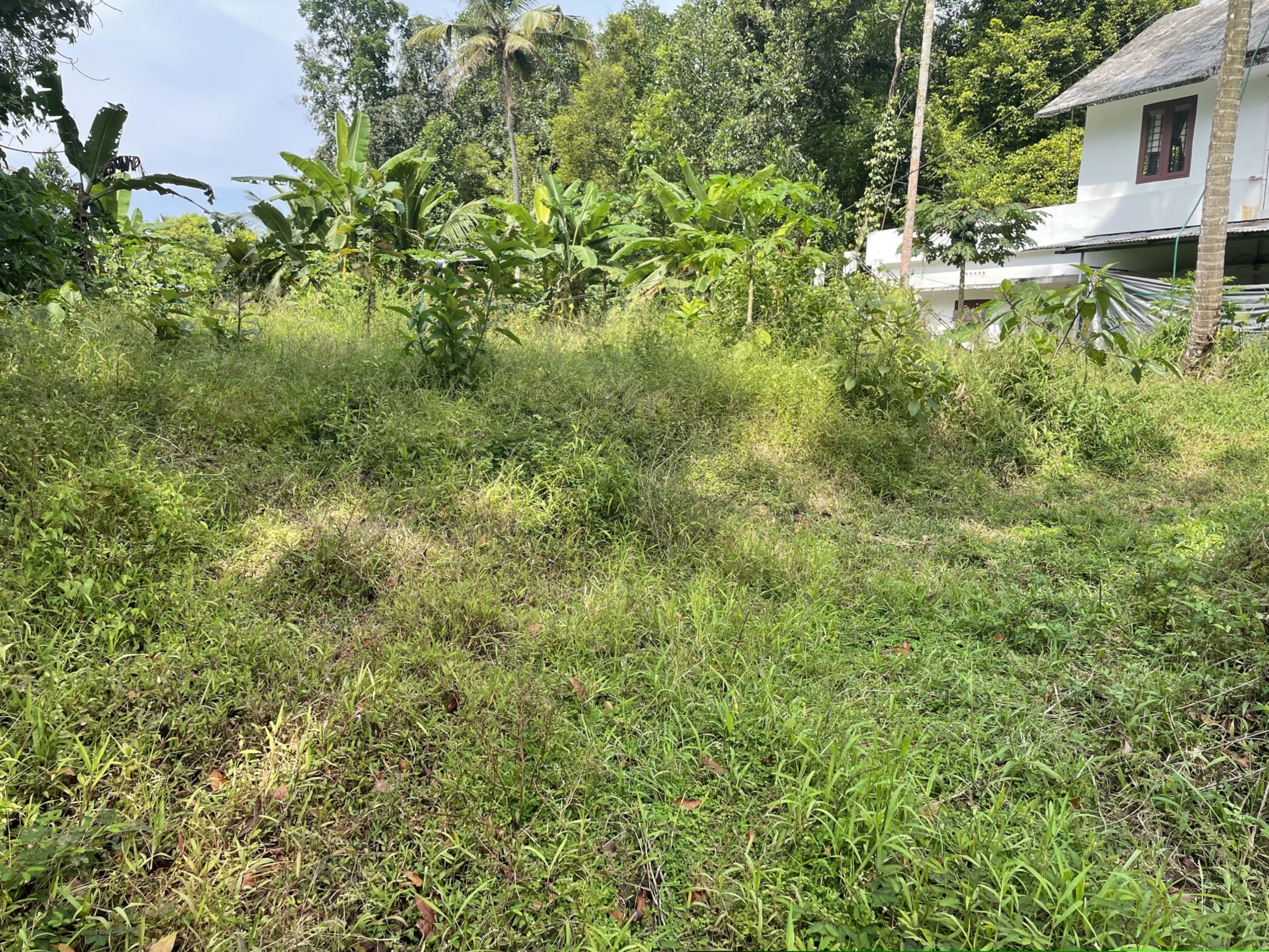 Union Bank of India Auctions for Residential property in Ernakulam, Kerala image 2 of 2 in Kunnathunad, Ernakulam | Union Bank of India auction property