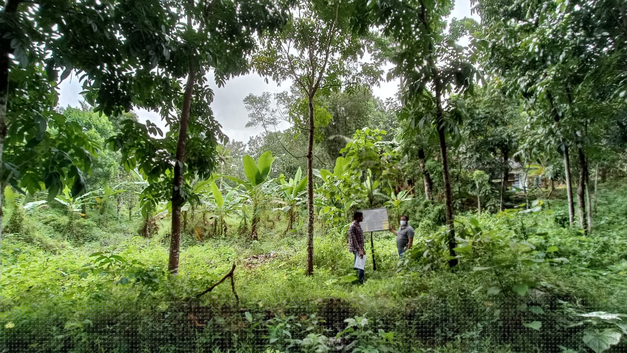 Union Bank of India Auctions for Residential property in Kollam, Kerala