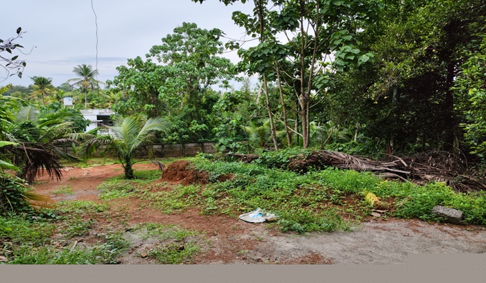 Union Bank of India Auctions for Residential property in Ernakulam, Kerala