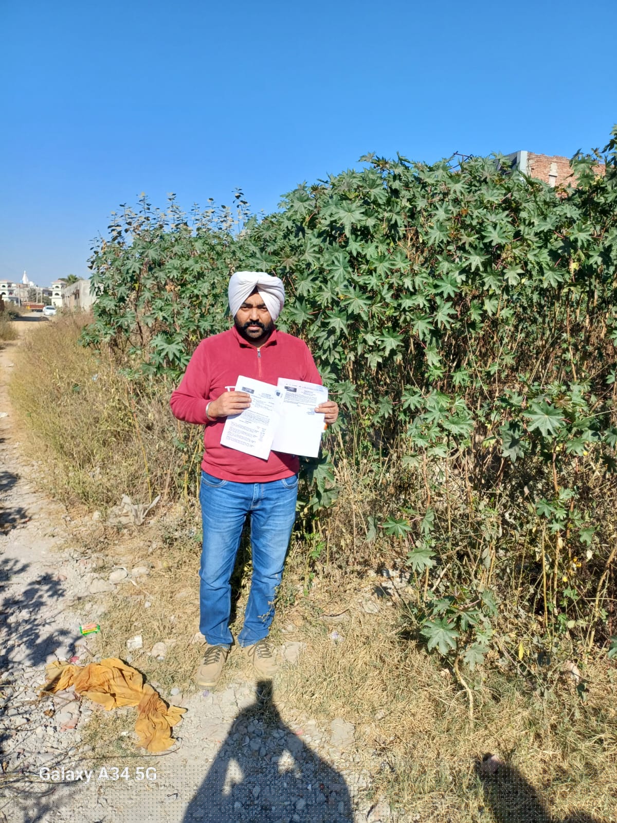 Punjab National Bank Auctions for Commercial property in Patiala, Punjab