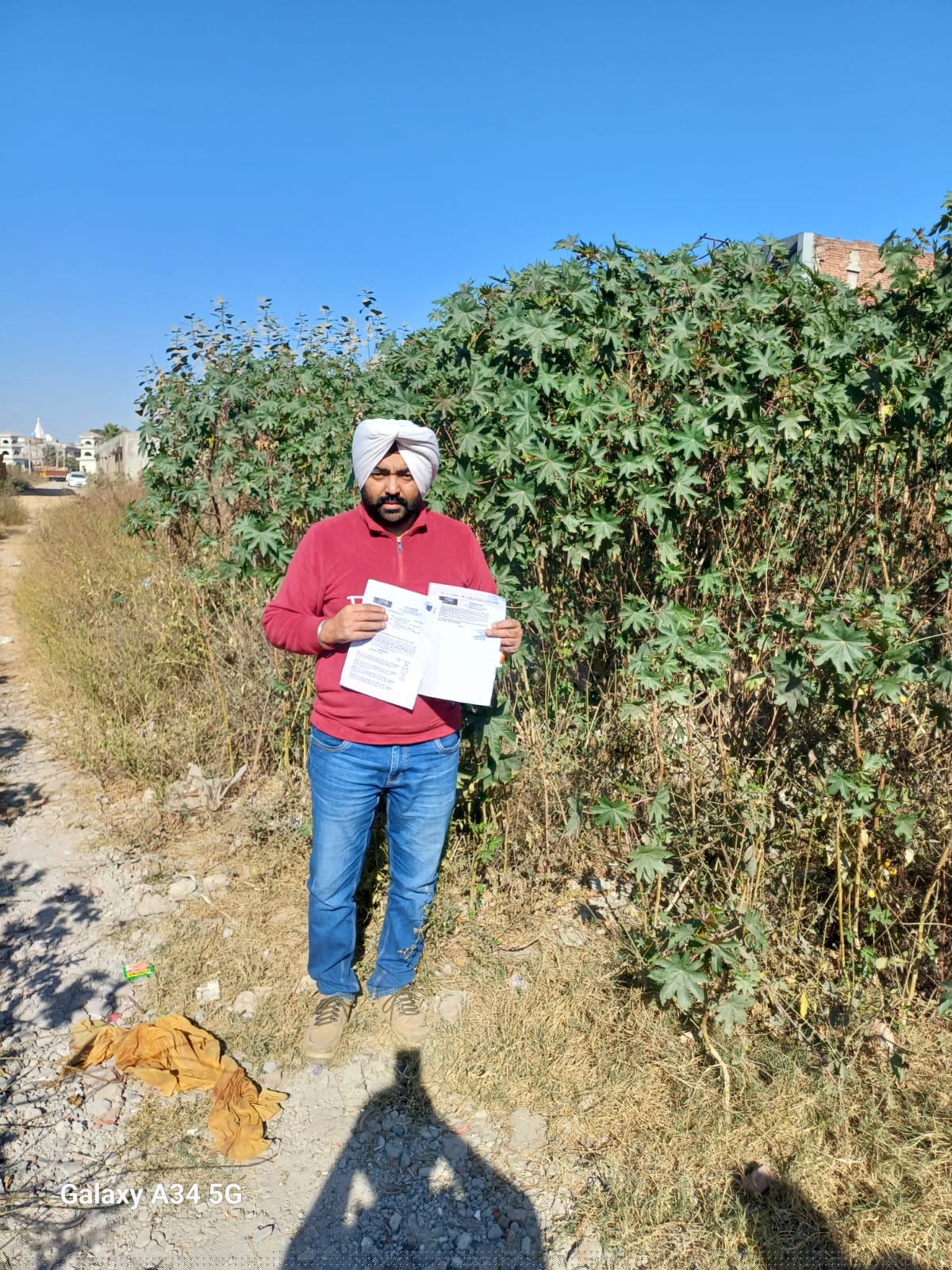 Punjab National Bank Auctions for Commercial property in Patiala, Punjab