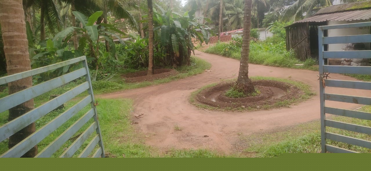 Indian Bank Auctions for Residential property in Kasaragod, Kerala image 2 of 2 in Bare, Kasaragod | Indian Bank auction property