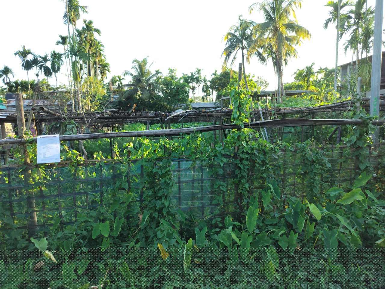 Punjab National Bank Auctions for Residential property in Cachar, Assam image 3 of 4 in Silchar, Cachar | Punjab National Bank auction property