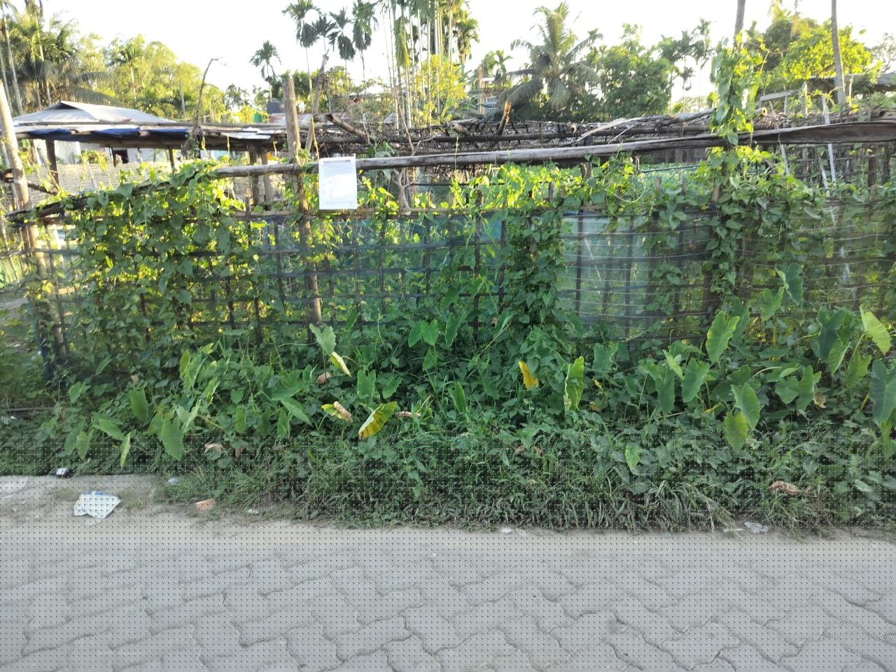 Punjab National Bank Auctions for Residential property in Cachar, Assam image 4 of 4 in Silchar, Cachar | Punjab National Bank auction property
