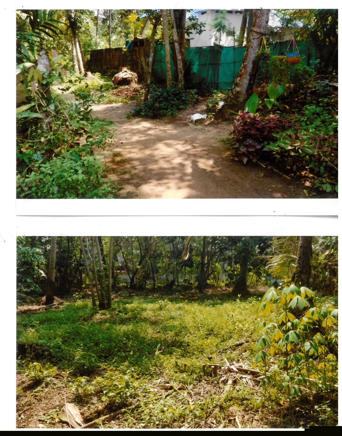 Union Bank of India Auctions for Residential property in Trivandrum, Kerala