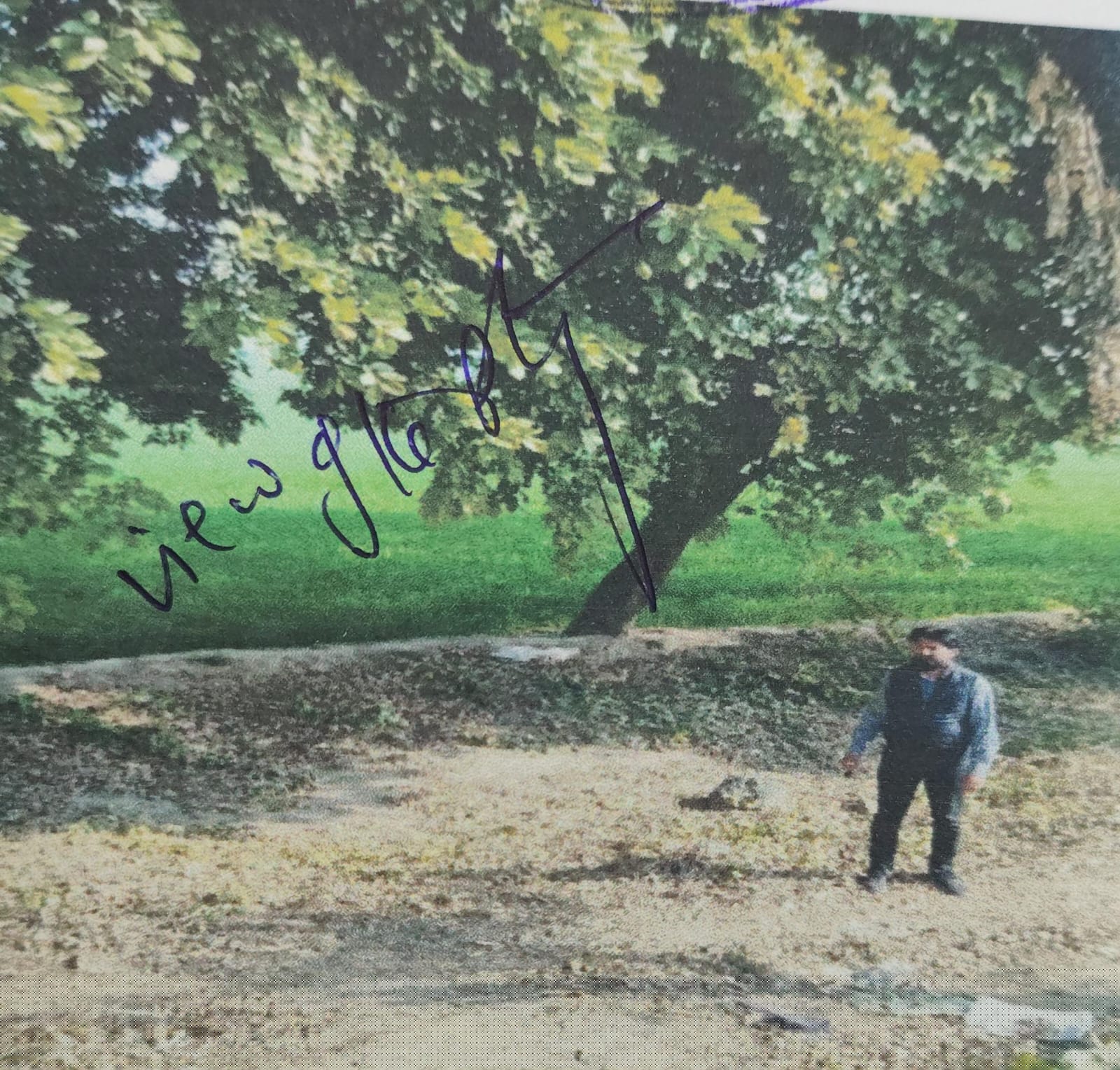 Union Bank of India Auctions for Industrials property in Moradabad, Uttar Pradesh