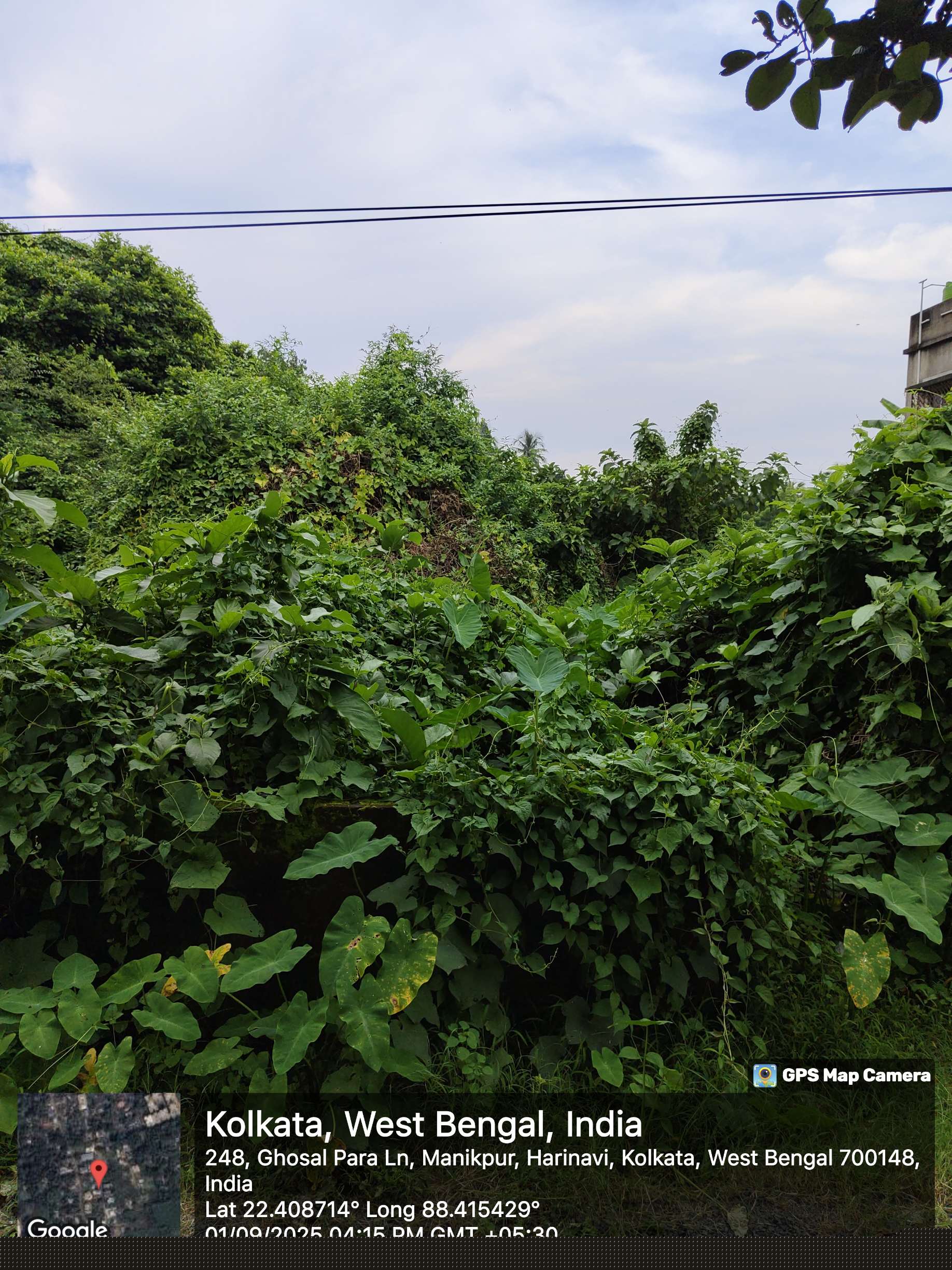 Canara Bank Auctions for Residential property in Kolkata, West Bengal