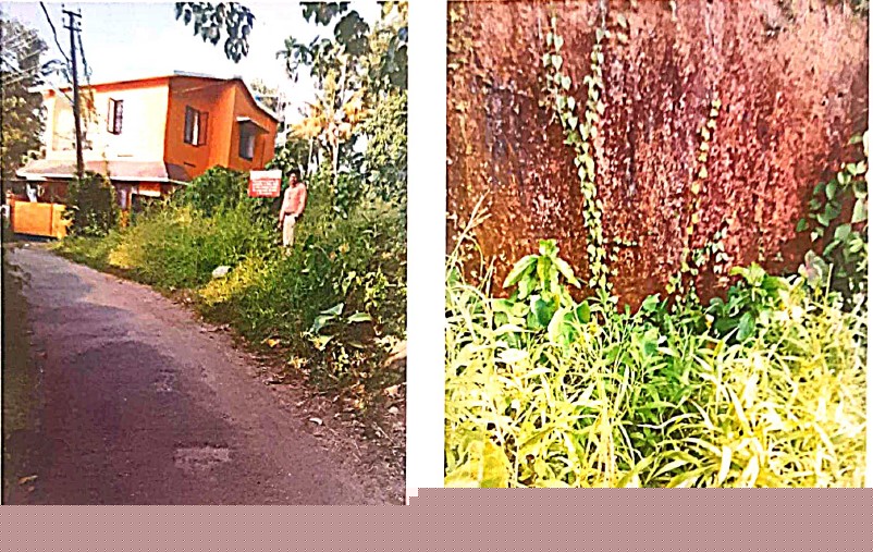 Union Bank of India Auctions for Residential property in Trivandrum, Kerala